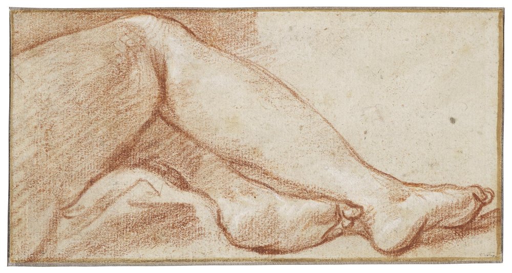 Five Studies of Female Arms, Hands, Legs, and Feet