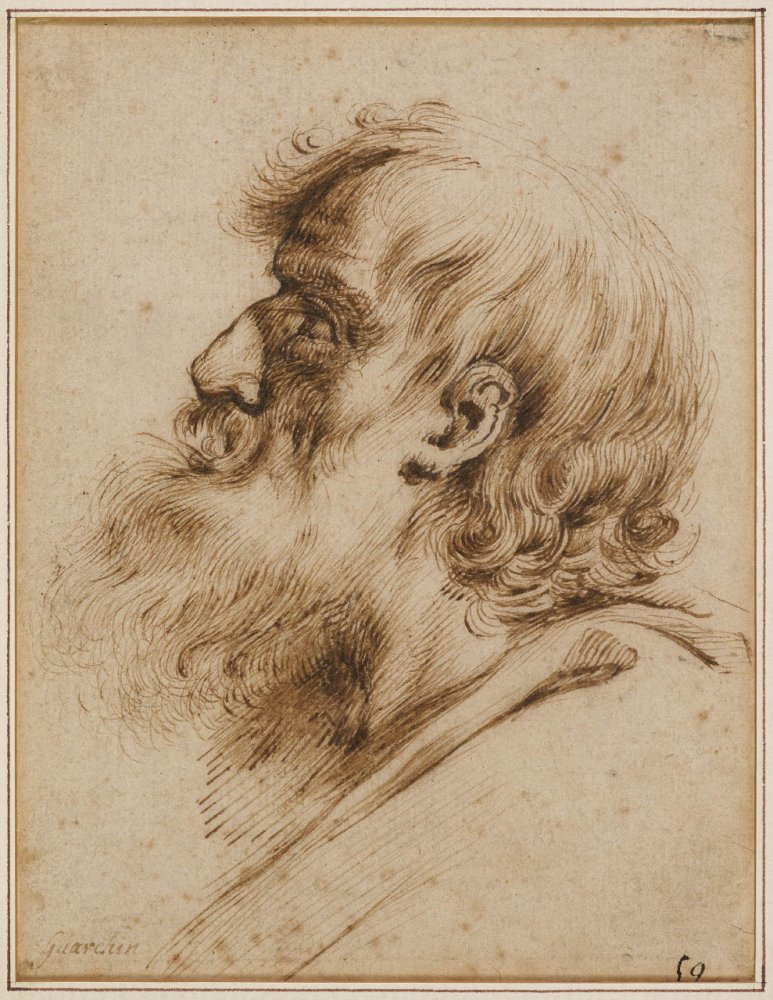 Tête de vieillard de profil